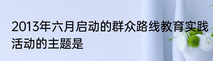 2013年六月启动的群众路线教育实践活动的主题是