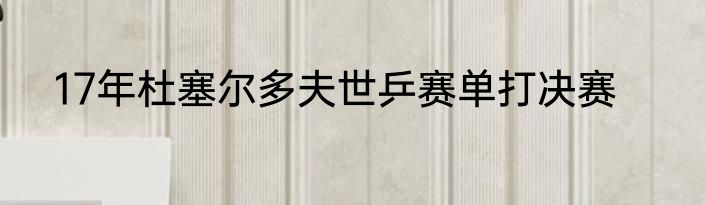 17年杜塞尔多夫世乒赛单打决赛