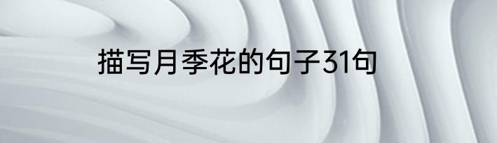 描写月季花的句子31句