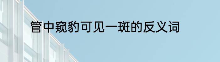 管中窥豹可见一斑的反义词