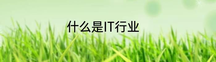 什么是IT行业