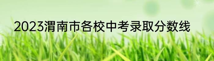 2023渭南市各校中考录取分数线