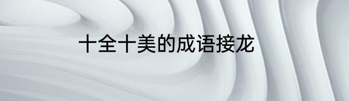 十全十美的成语接龙