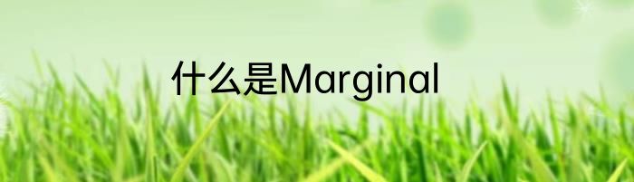 什么是Marginal