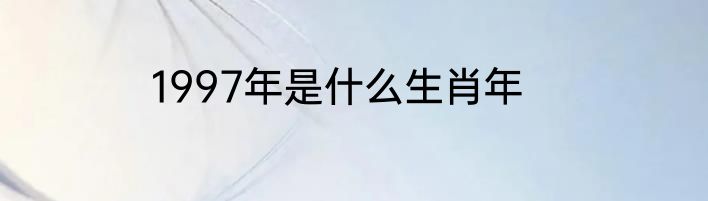 1997年是什么生肖年