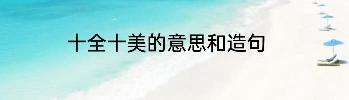 十全十美的意思和造句