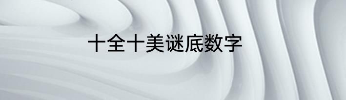 十全十美谜底数字