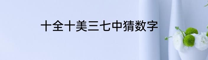 十全十美三七中猜数字