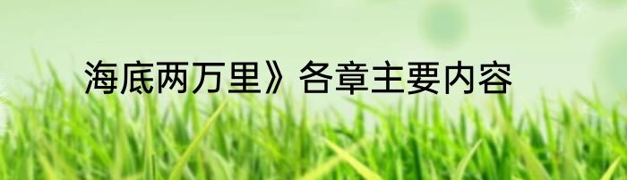 海底两万里》各章主要内容