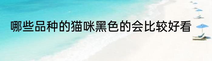 哪些品种的猫咪黑色的会比较好看