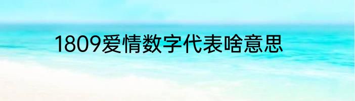 1809爱情数字代表啥意思
