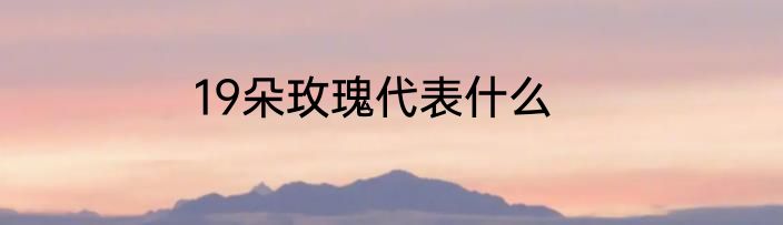 19朵玫瑰代表什么