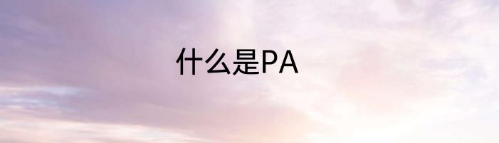 什么是PA