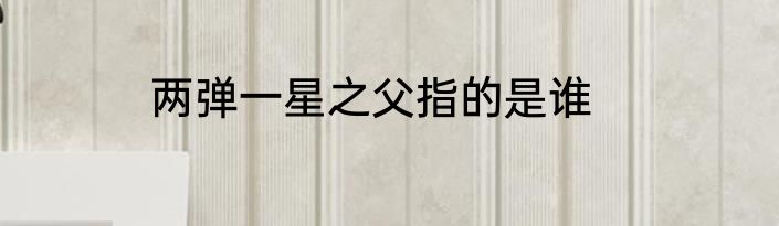 两弹一星之父指的是谁
