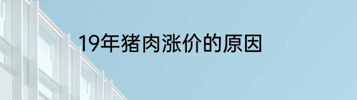 19年猪肉涨价的原因