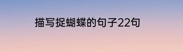 描写捉蝴蝶的句子22句