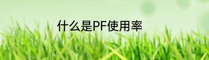 什么是PF使用率