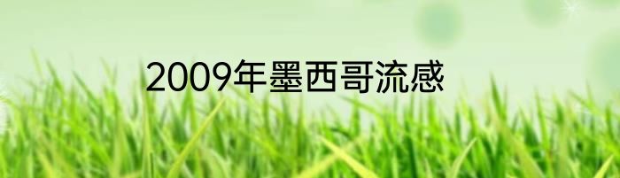 2009年墨西哥流感