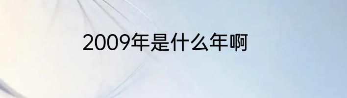 2009年是什么年啊