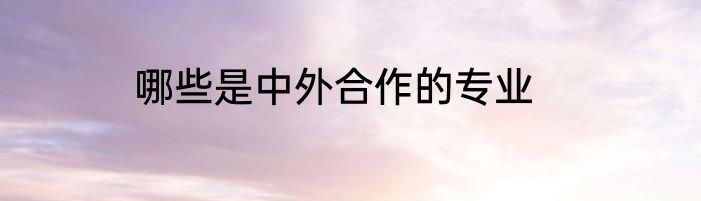 哪些是中外合作的专业