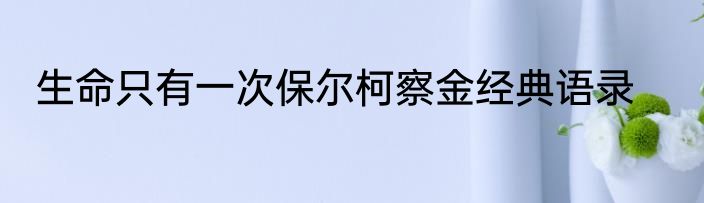 生命只有一次保尔柯察金经典语录
