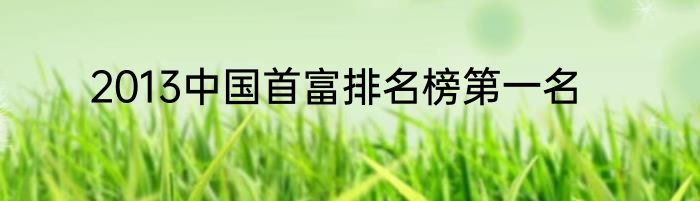 2013中国首富排名榜第一名