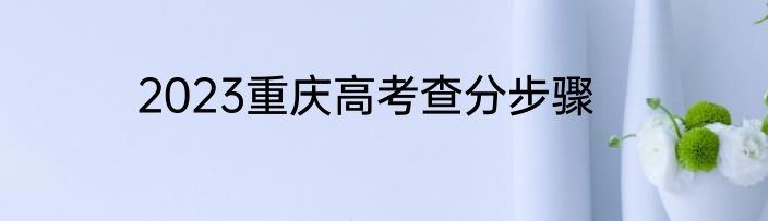 2023重庆高考查分步骤