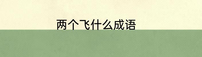 两个飞什么成语