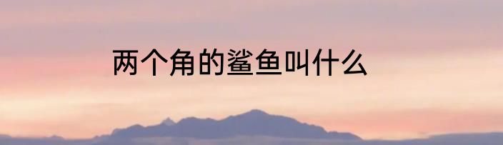 两个角的鲨鱼叫什么