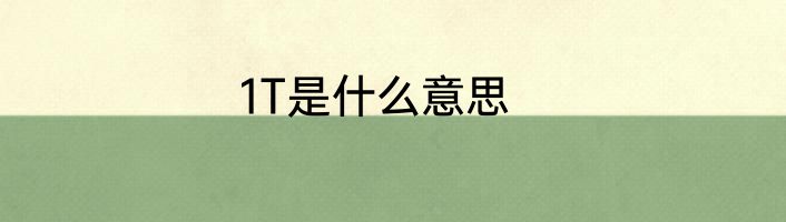1T是什么意思