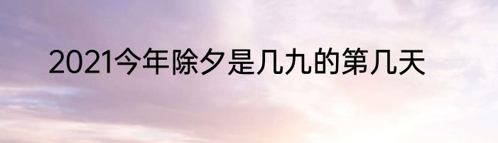 2021今年除夕是几九的第几天