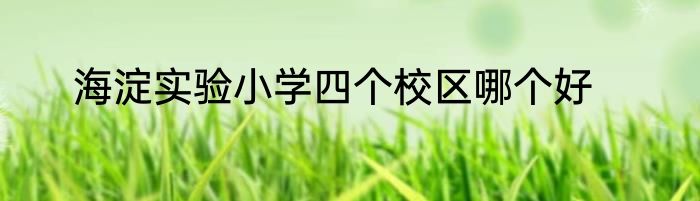 海淀实验小学四个校区哪个好