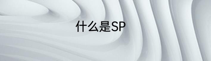 什么是SP