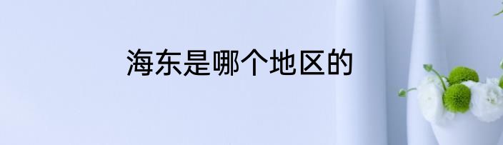 海东是哪个地区的
