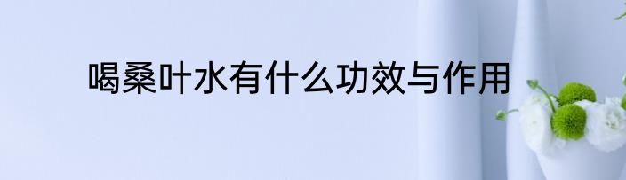 喝桑叶水有什么功效与作用