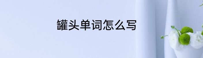 罐头单词怎么写