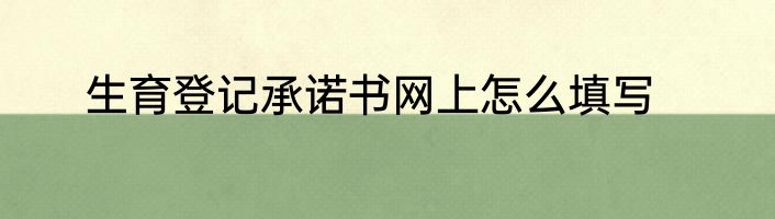 生育登记承诺书网上怎么填写