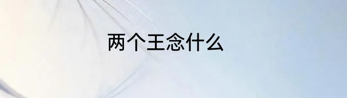 两个王念什么