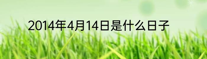 2014年4月14日是什么日子