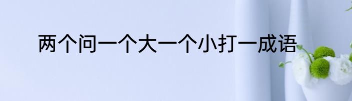 两个问一个大一个小打一成语
