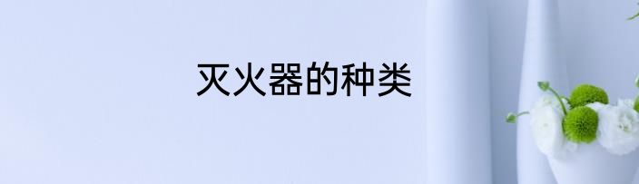 灭火器的种类