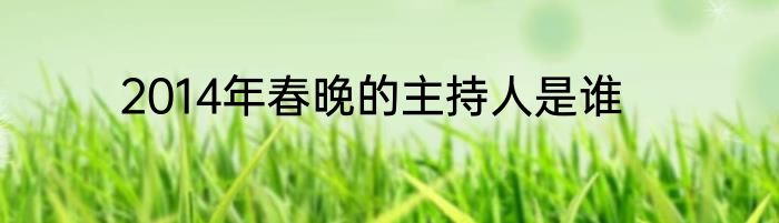 2014年春晚的主持人是谁