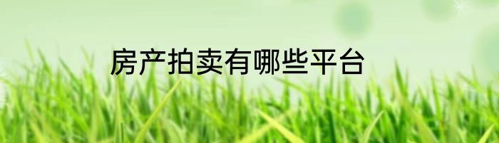 房产拍卖有哪些平台