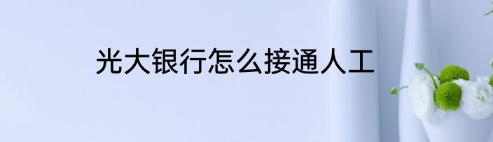 光大银行怎么接通人工