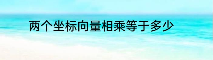 两个坐标向量相乘等于多少