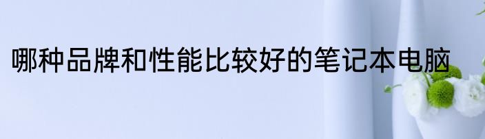 哪种品牌和性能比较好的笔记本电脑