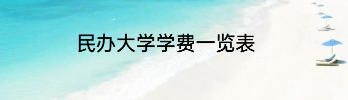 民办大学学费一览表
