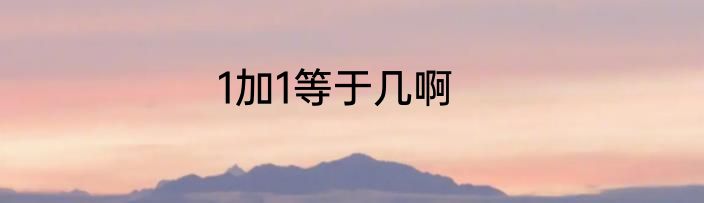 1加1等于几啊