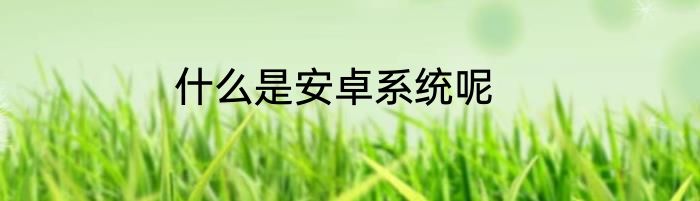什么是安卓系统呢