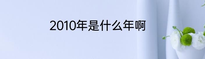 2010年是什么年啊